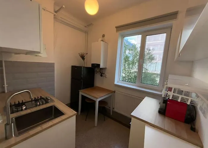 Sunflower Apartment