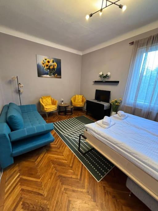 Sunflower Cluj-Napoca